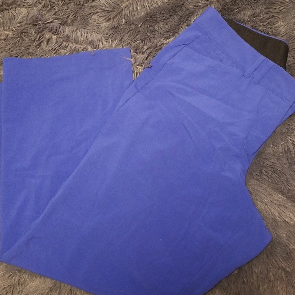 Lane Bryant Pants